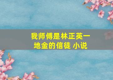 我师傅是林正英一地金的信徒 小说